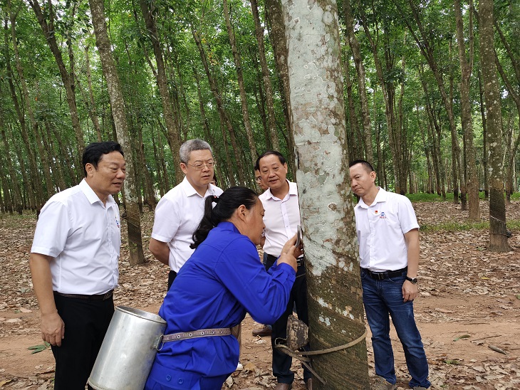 bevictor伟德官网-韦德官方网站